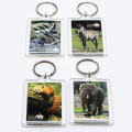 Promotional Clear Custom Blank Souvenir Plastic Picture Insert Logo Photo Frame Key Chain Acrylic